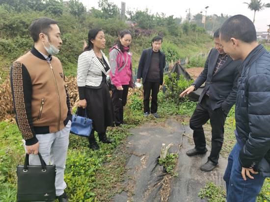 b717fed043aa1560b47ba5a741f0f75