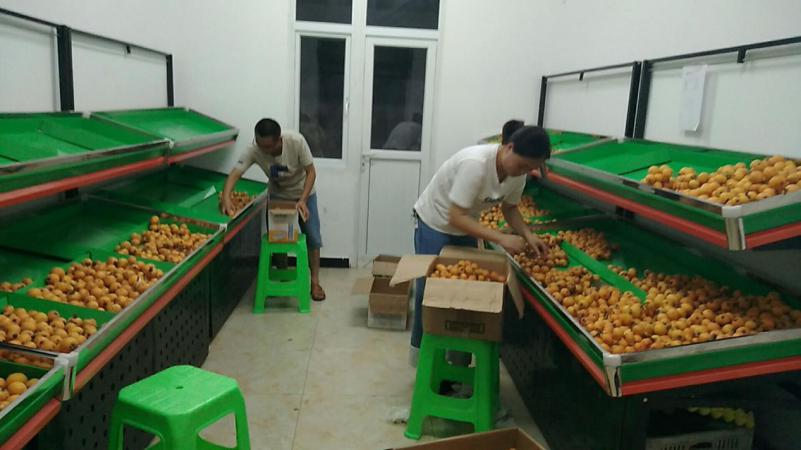 马史洛村第一书记和上田坝乡副书记将枇杷运到宜宾职业技术学院，并整理上架