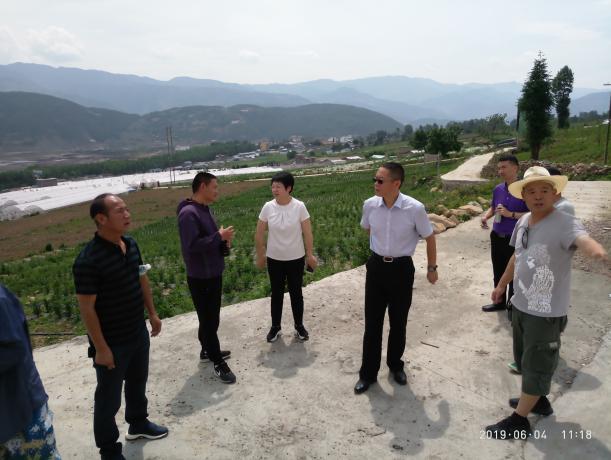 mmexport1559738243986