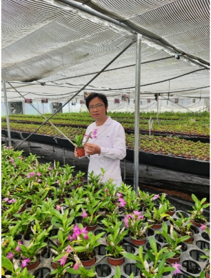 【青春风采 榜样力量】优秀毕业生事迹展：即使身处低谷,也要仰望星空