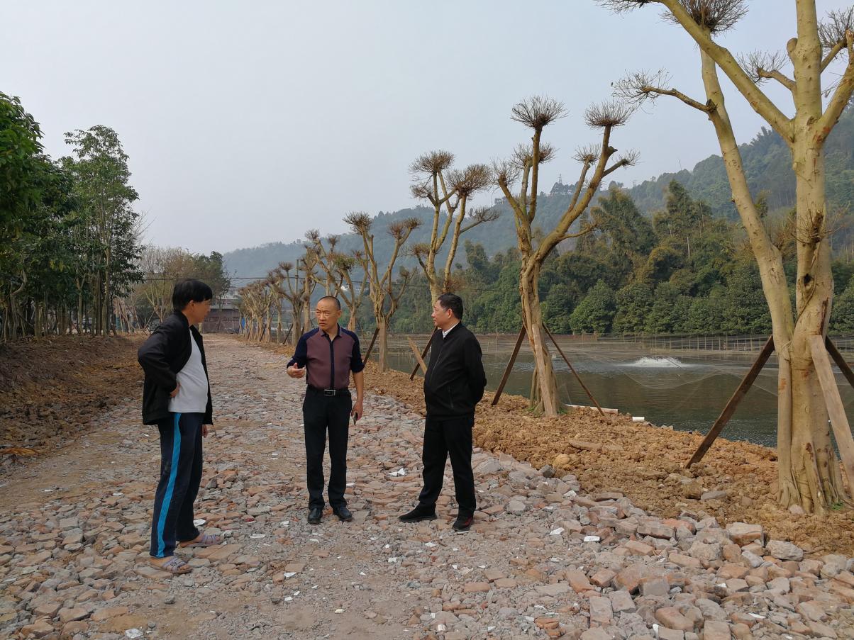 6c5b467b8a32b21f5cc484fd9b4d5c6